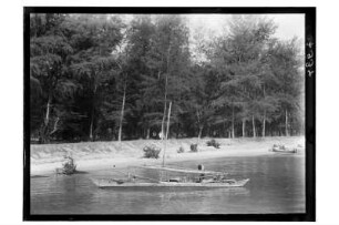 Segelboot auf dem Fluss : Phetchaburi. Segelboot auf dem Fluss, am Ufer Baumstrünke, 1909