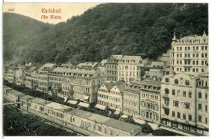 Karlsbad. Alte Wiese