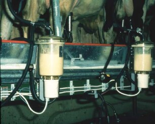 Fotografie: Informationstechnik, Melkstand, Milchmengenmessgerät