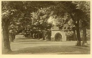 Postkarte, Soldin (Neumark)