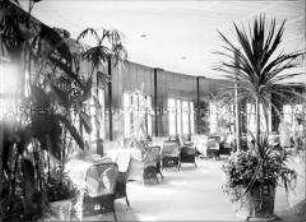 Wintergarten mit Palmen an Bord des Hochseepassagierdampfers "Bremen"