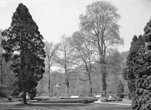 Weesenstein. Schlossgarten : Müglitztal-Weesenstein, Schlossgarten. Partie mit Solitärbäumen (um 1780 angelegt)