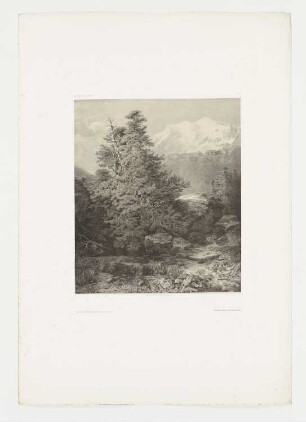 Berglandschaft mit Bach und Tannen, Blatt 94 der Folge "Werke"