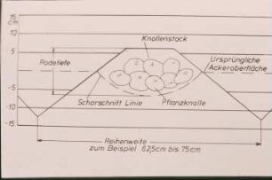 Schemazeichnung: Pflanztechnik, Kartoffel, Kartoffellegemaschine