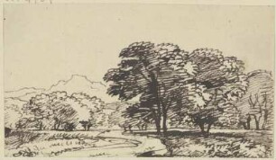 Landschaft mit hohen Bäumen
