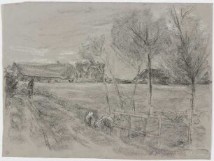 Landweg in Holland, vorne zwei Ziegen