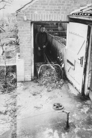 Fotografie: Gülle- und Entmistungstechnik, Entmisten, Festmist, Seilzugschieber, Schweinehaltung