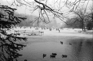 Stadtgartensee im Winter.