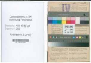 Entnazifizierung Ludwig Anselmino , geb. 17.06.1906 (Apotheker)