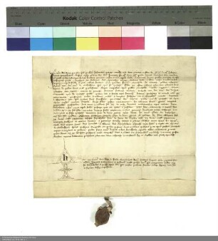 Friedrich Sparwasser, Schultheiß zu Fulda, überträgt Konrad von Horas, Konventuale zu Michaelsberg, Zinse und Einkünfte aus Häusern in Fulda