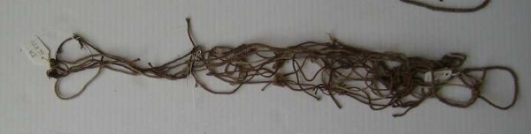 Loose Khipu cords