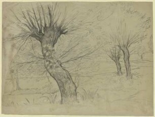 Kahle Weiden