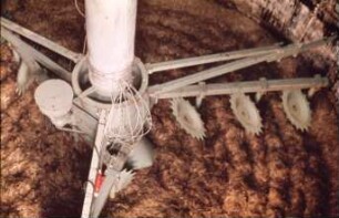 Fotografie: Ein- und Auslagerungstechnik, Hochsilo, Silofräse, Grassilage