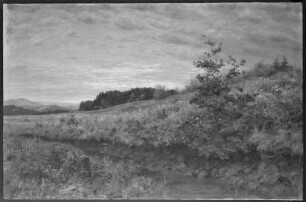 Hochmoor im Herbst