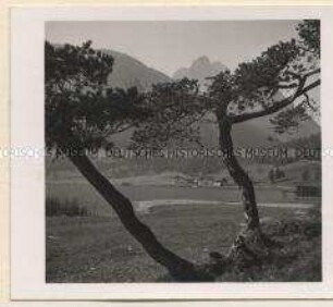 Mittenwald
