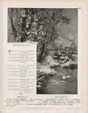 "Wandervögel"