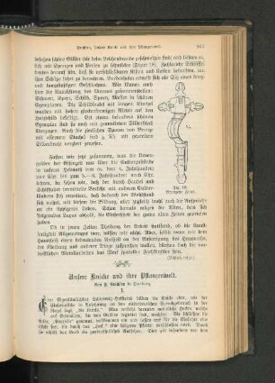Unsere Knicke und ihre Pflanzenwelt.