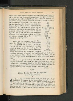 Unsere Knicke und ihre Pflanzenwelt.