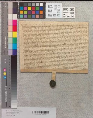 Der Gograf Johann Kothe zu Beckum bezeugt eine Bauerweisung (?) in Sachen des Klosters Marienfeld gegen Johann Hoberg wegen Landes bei den Graeskulen im Kirchspiel Beckum.