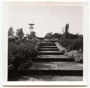 Deutsche Gartenschau 1950 auf dem Killesberg, Stuttgart: Stufen, Aussichtsturm (sog. Zaiser-Turm)