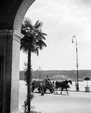 Salò, Uferpromende