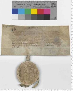 Elf Ratsmannen bekunden den Verkauf von 1 Fuder Salz aus Velinge [Sülzhaus] an Prior und Convent in Heiligenthal. [lat]