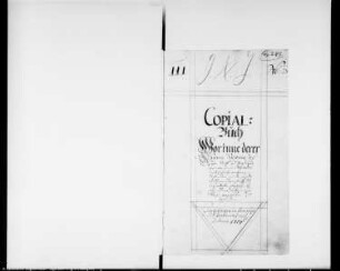 Copiale vicariorum ecclesiae majoris Magdeburgensis