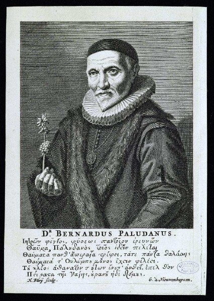 Paludanus, Bernard
