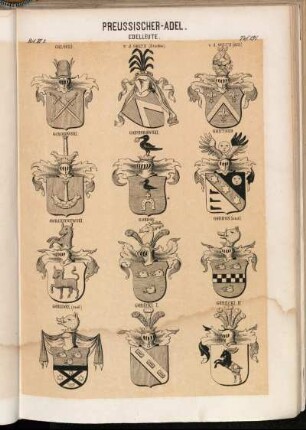 Taf. 191. Golocki. - v. d. Goltz (Stam[m]w.. - v. d. Goltz (1653). - Gondkowski. - Gonsiorowski. - Gontard. - Gorczyczewski. - Gordon. - Gordon (and). - Gordon (and.). - Gorecki I. - Gorecki II.