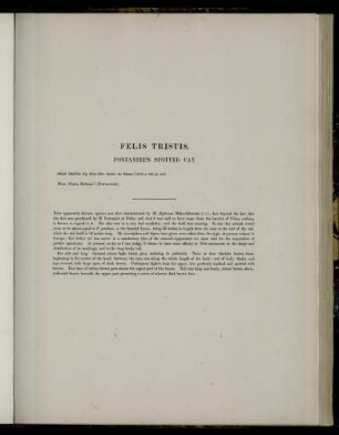 Felis Tristis