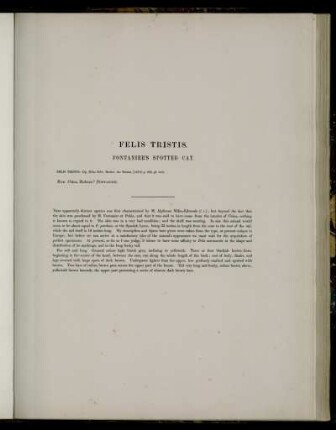 Felis Tristis