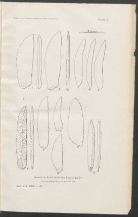 Plate 1. - Knives of flint from Fayum, Egypt.