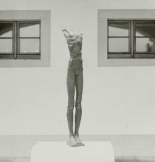 Springer (Torso)