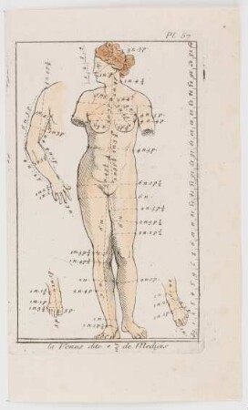 Venus Medici in Vorderansicht