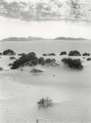 Landschaft El Jable bei Corralejo, Fuerteventura