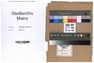 Korrespondenz Oppenheims in der Eigenschaft als Vertrauensmann der Reichsvereinigung der Juden in Deutschland, Bezirksstelle Hessen/Hessen-Nassau, in Mainz