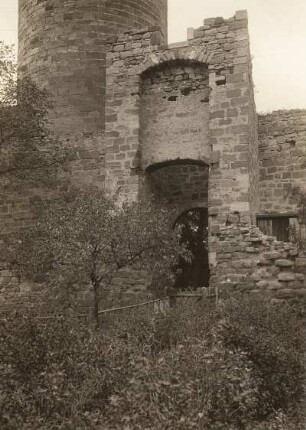 Burg Schönburg