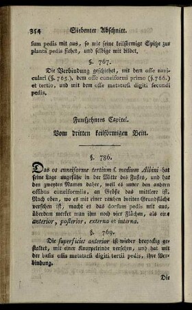 Fünfzehntes Capitel. Vom dritten keilförmigen Bein. § 768-773.
