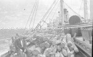 Selbstversenkung des Hochseepassagierdampfers "Columbus" am 19. Dezember 1939, Heimfahrt der älteren Besatzungsangehörigen (54-60 Jahre) vom Internierungslager auf Angel Island, Kalifornien, auf dem italienischen Dampfer "Fella", Mann auf dem mit Holzstämmen voll beladenen Vorderdeck sitzend