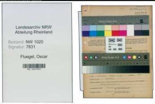 Entnazifizierung Oscar Fluegel , geb. 09.06.1879 (Fabrikant)