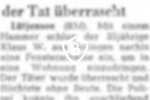 Einbrecher bei der Tat überrascht