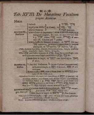 Tab. XVIII. De Mutatione Vocalium propter Accentus