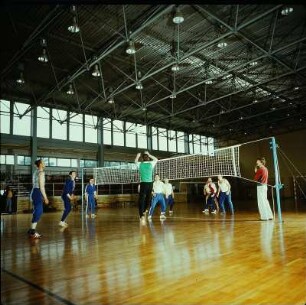 Sport, Volleyball-Mannschaft