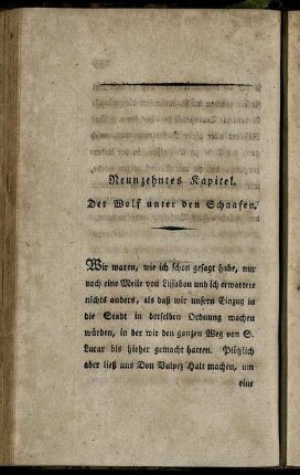 Neunzehntes Kapitel. Der Wolf unter den Schaafen.