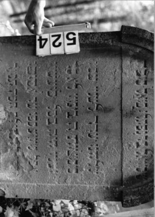 Grabstein 524 (Index: 99802712) Material: Sandstein Zustand: unten abgeblättert/Textverlust Maße HxBxT: 110x67x10 cm Beschreibung: Stele mit verdachtem Rundbogen, profiliertem Rand und Giebelfeld Besonderheit: längerer Text: Grabstein 524 (Detailaufnahme)
