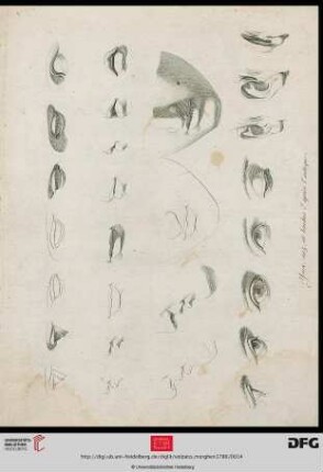 Pl. 1-36