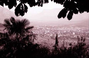 Meran Dorf Tirol: von Dorf Tirol auf Meran, Vordergrund Palme