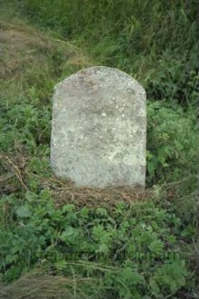 Groß Barnitz: Lokfeld: Grenzstein [Nr. 19]