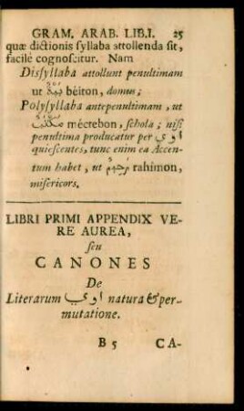 Libri Primi Appendix Vere Aurea, seu Canones De Literarum [...] natura & permutatione.