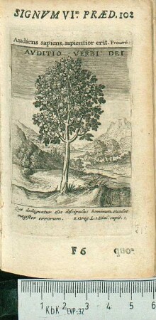 Avditio Verbi Dei